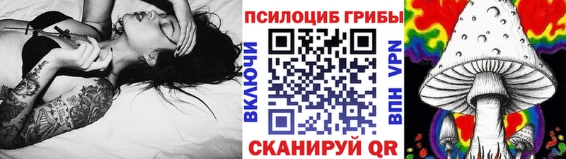 Псилоцибиновые грибы GOLDEN TEACHER  Берёзовка 